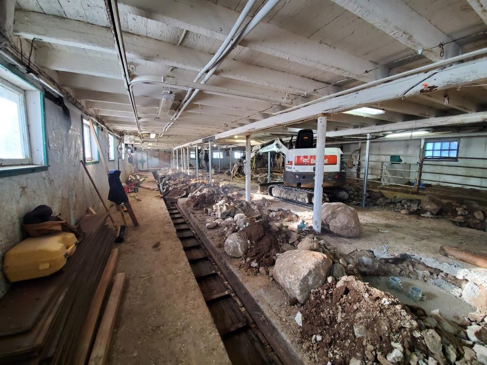 Fissures de fondation (15)