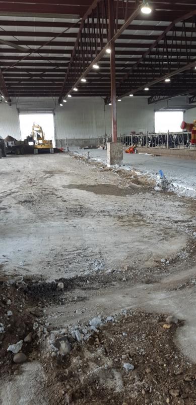 Fissures de fondation (9)